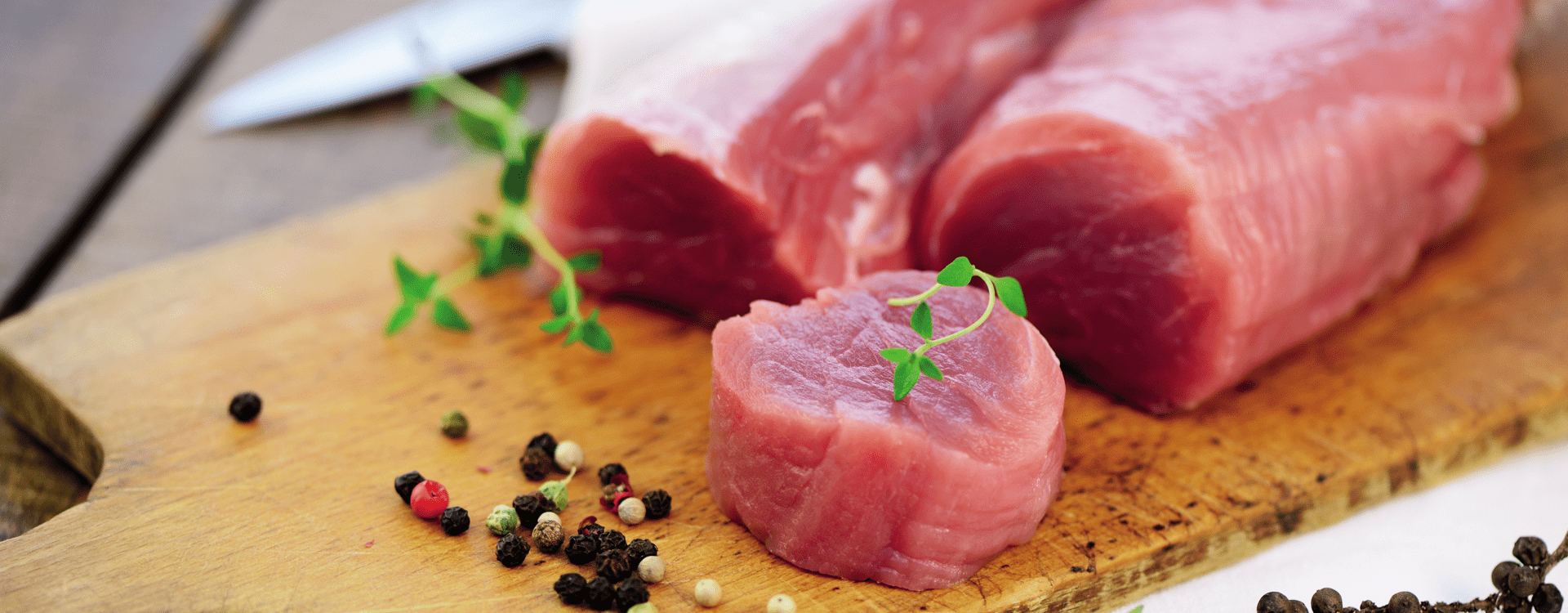 Dialsur – carne de CERDO