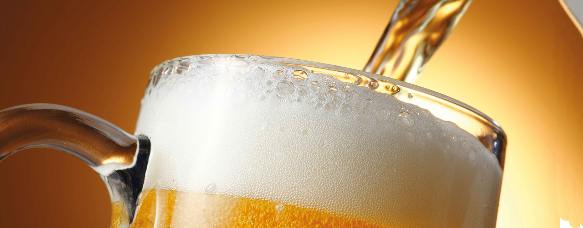 2. Guía para escoger la mejor cerveza