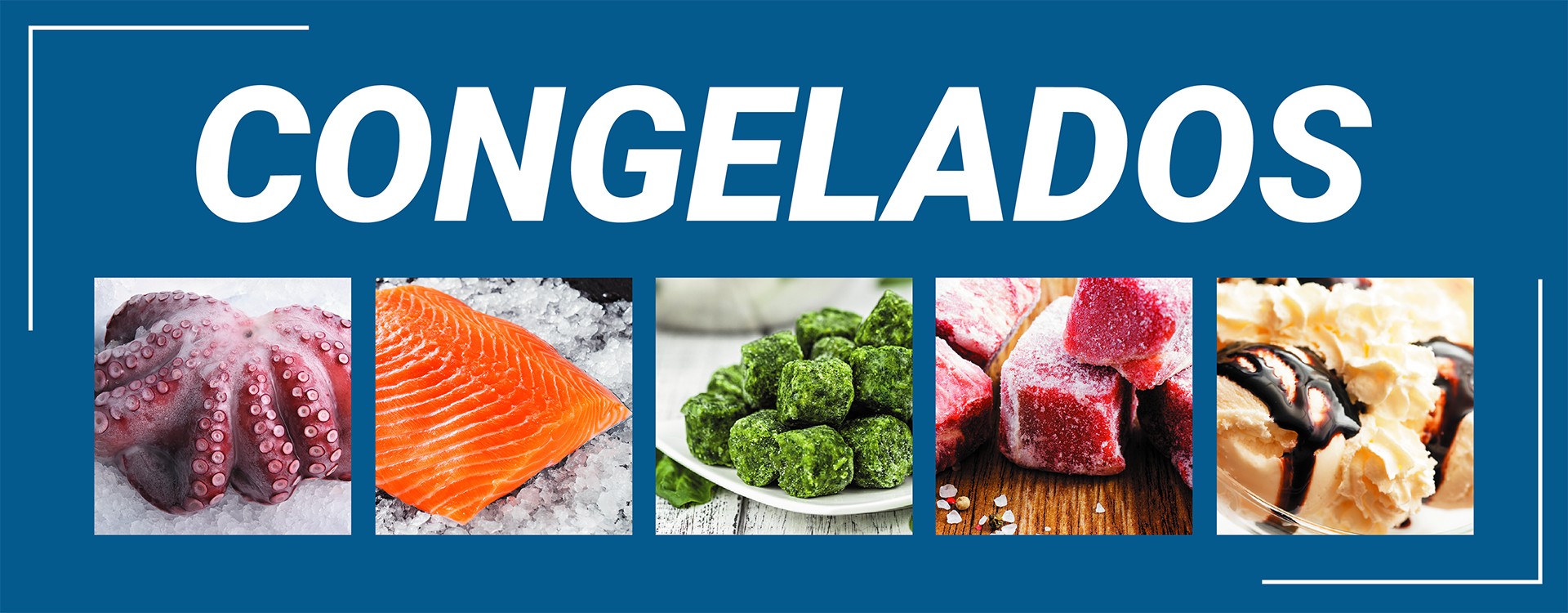 catálogo-congelado