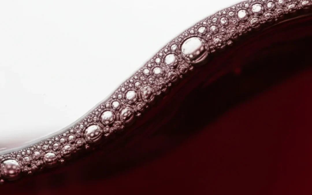 Todo lo que necesitas saber sobre la conservación y temperatura del vino