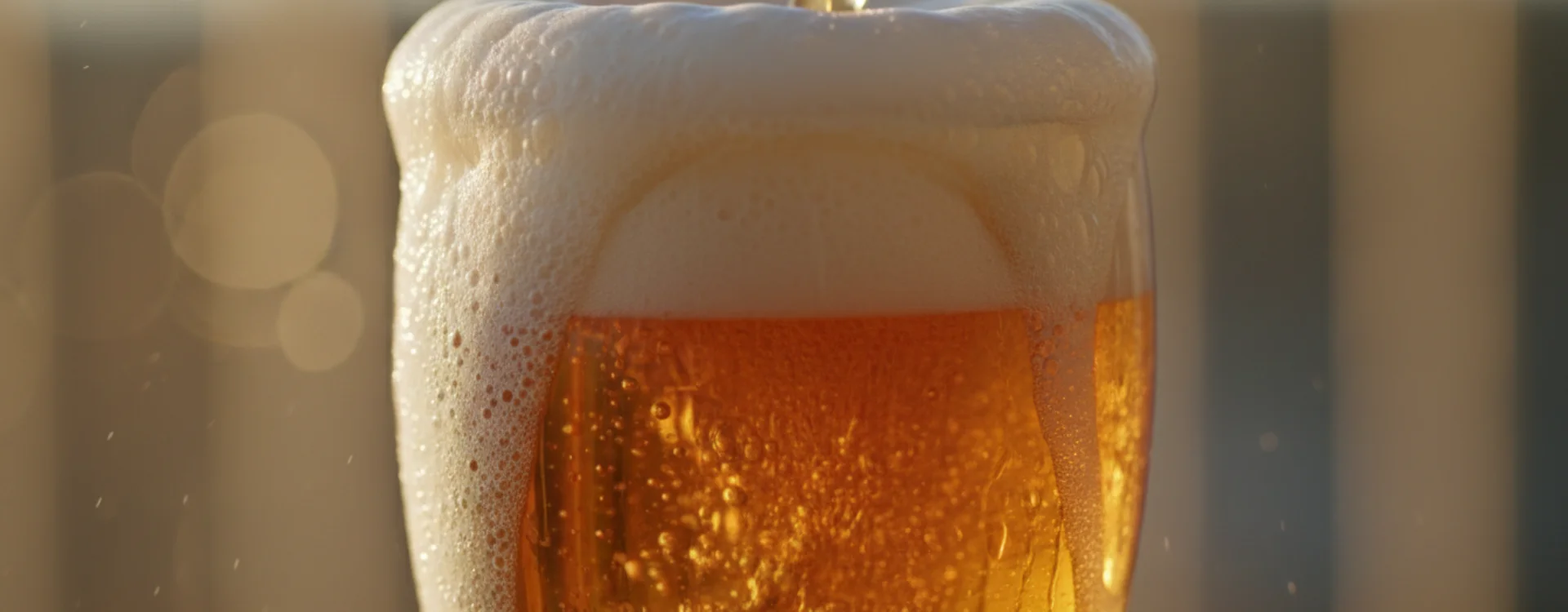 dialsur-Guia-para-escoger-la-mejor-cerveza