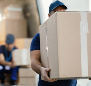 servicio distribución